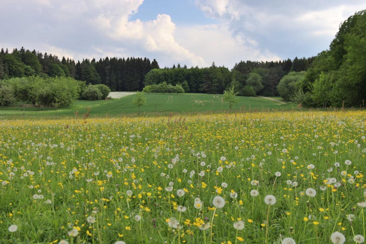 Hotel Heumann's Blockhäuser am Wald Pottenstein Exterior foto